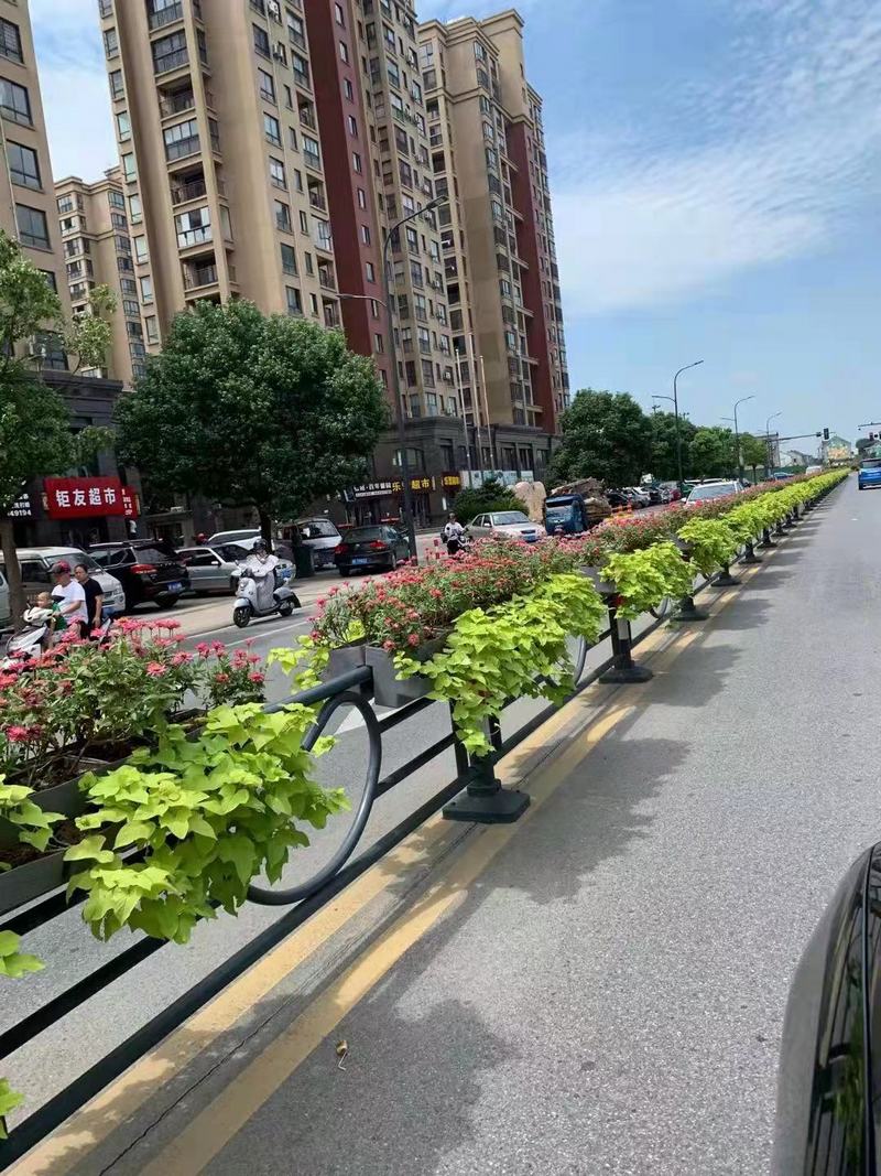 花箱護欄